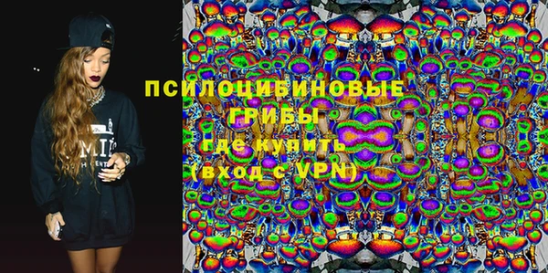 ПСИЛОЦИБИНОВЫЕ ГРИБЫ Дмитров