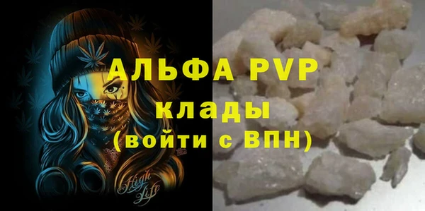 ПСИЛОЦИБИНОВЫЕ ГРИБЫ Дмитров