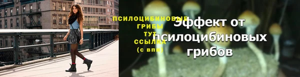 ешки Липки