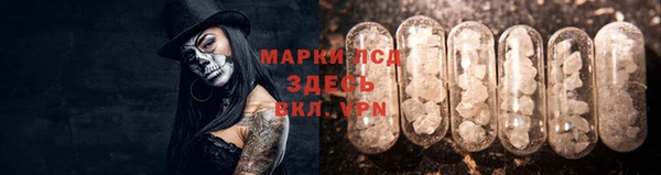 ПСИЛОЦИБИНОВЫЕ ГРИБЫ Дмитров