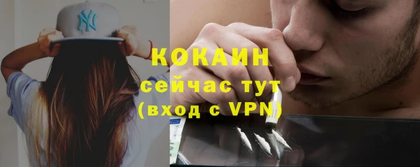 ПСИЛОЦИБИНОВЫЕ ГРИБЫ Дмитров