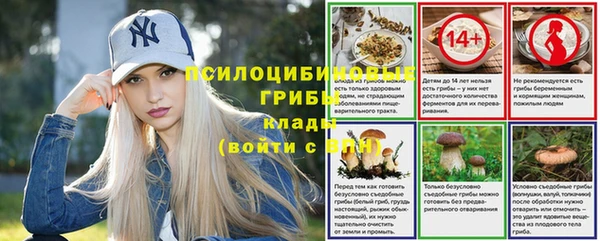 твердый Гусь-Хрустальный