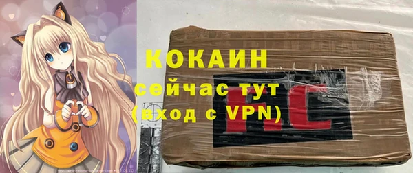 твердый Гусь-Хрустальный